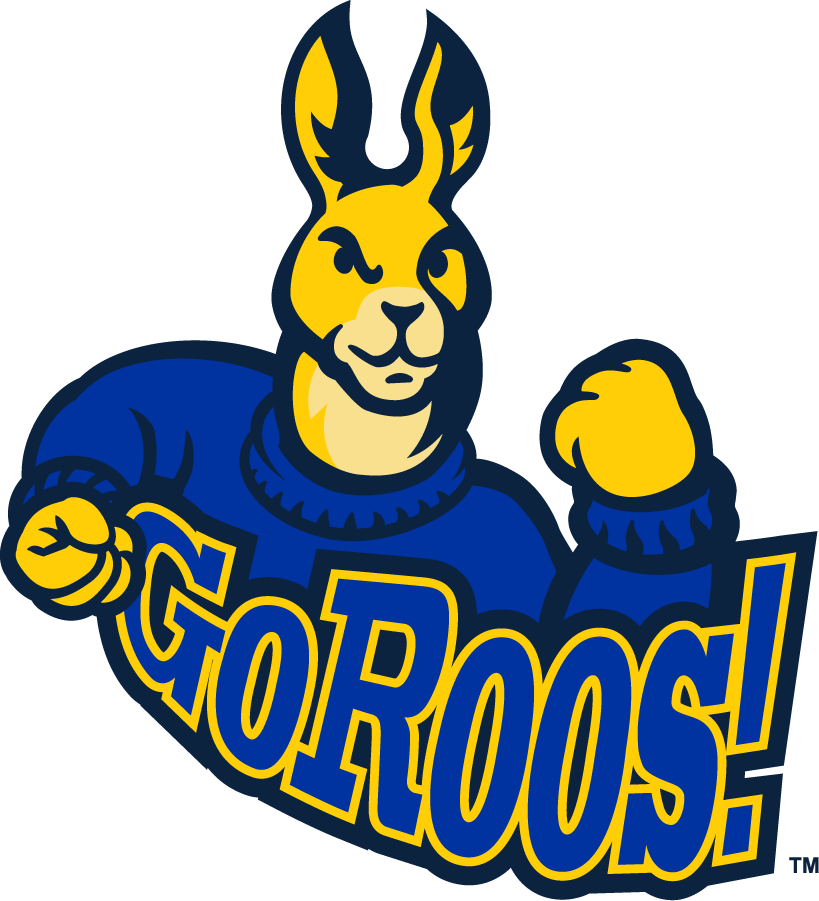 UMKC Kangaroos 2004-2008 Secondary Logo v3 diy iron on heat transfer